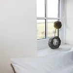 度假居 The Hayshed